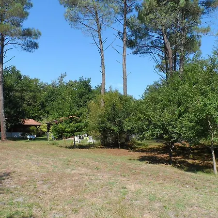 Les Chalets Du Gelat Holiday home Noaillan